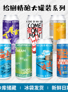 拾捌精酿国产精酿啤酒跳东湖IPA/酒花逆流/凌波门500ml罐装组合装