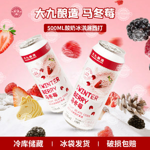 新品大九酿造马冬莓冰淇淋果泥西打果酒马冬梅啤酒果味啤酒500ml