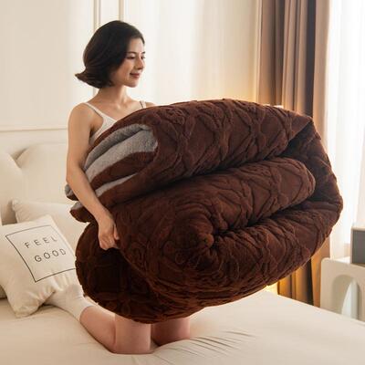 冬季加厚塔芙绒毛毯被子
