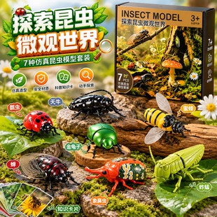 发条有翅昆虫知了蜜蜂儿童爬行仿真玩具可动模型七星瓢虫套装礼物