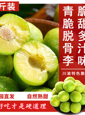 青脆李重庆脆甜可口新鲜水果现摘
