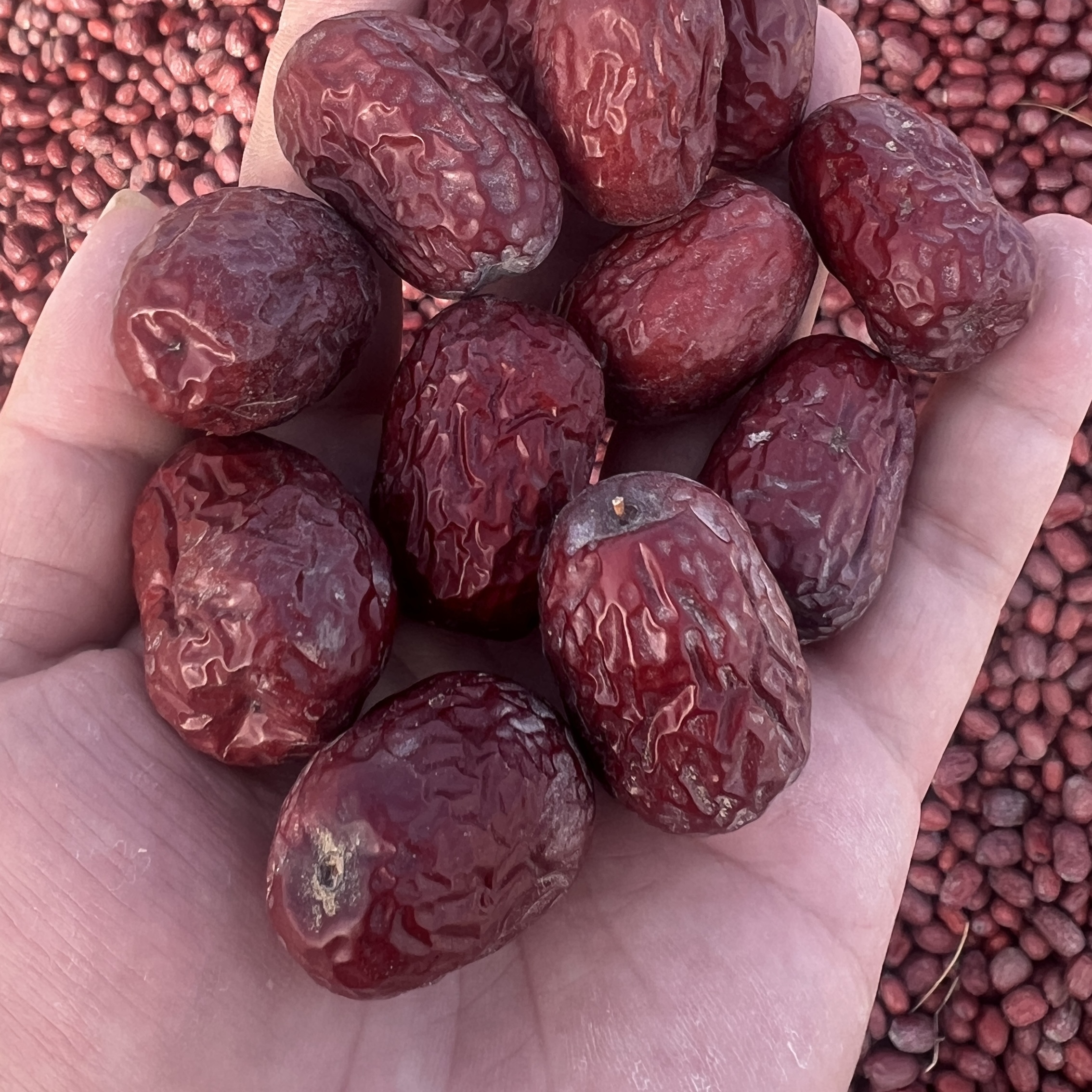 丝路新特2025年新疆红枣若羌灰枣新枣吊干麦盖提果园直发非免洗