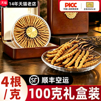 柏克森冬虫夏草官方正品旗舰店4根/g礼盒装虫草头茬新鲜干草100克