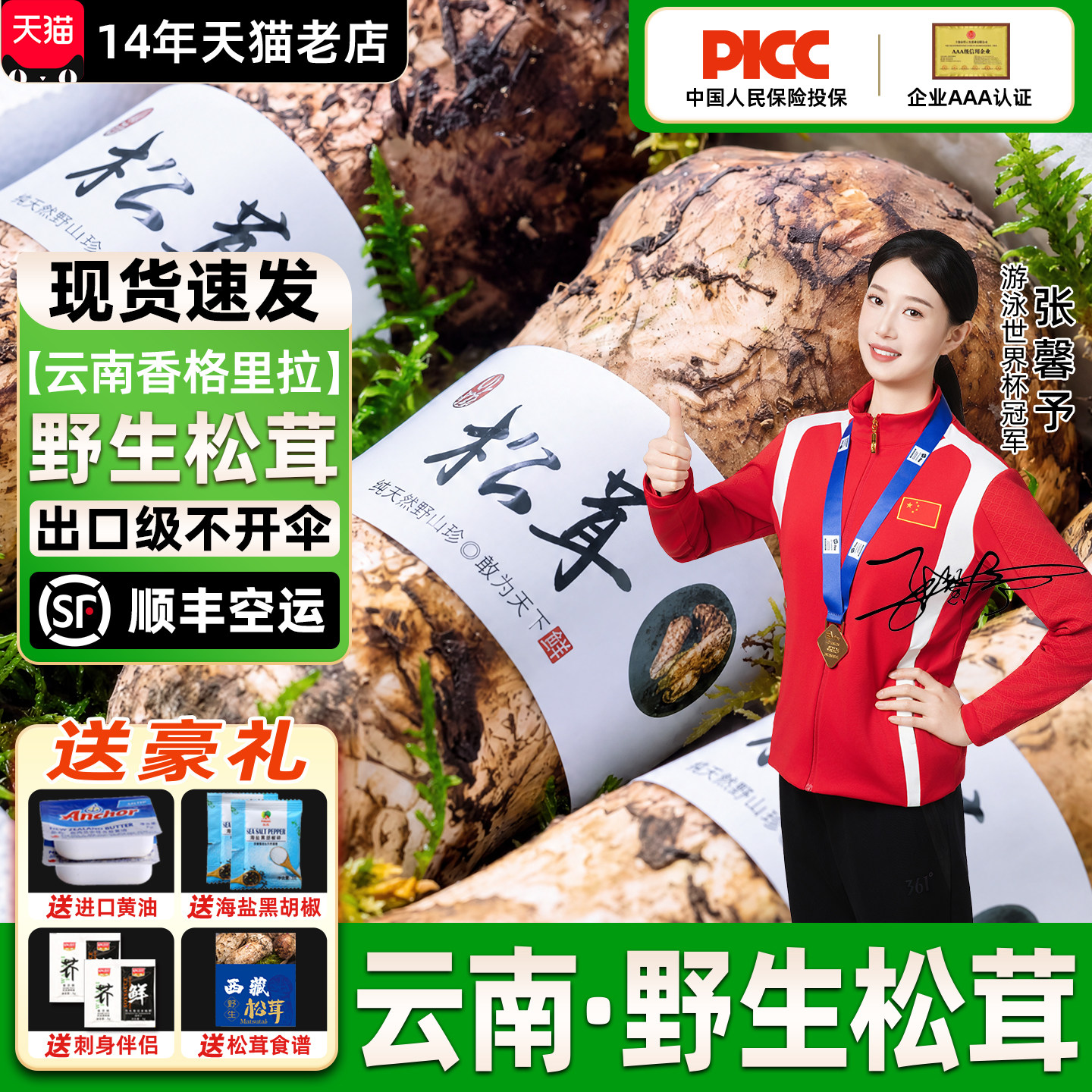 【香格里拉松茸】野生新鲜松茸图片