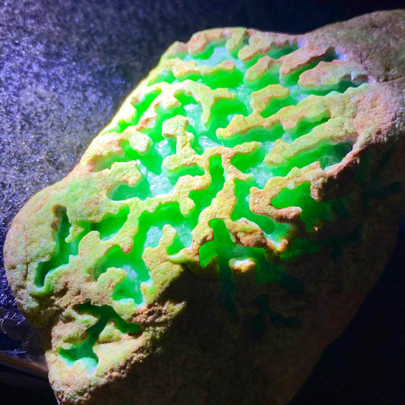 瑜瑾缅甸天然翡翠原石玉石毛料 木那  冰种帝王绿高色 满色 a0290