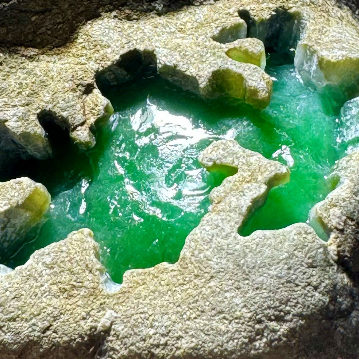 瑜瑾缅甸天然翡翠原石玉石毛料 老南齐 冰种正阳绿 戒面料 A0306