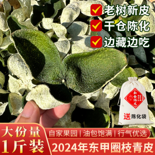 正宗2024年圈枝青皮陈皮干老树新鲜中药材500g 新会东甲功效好