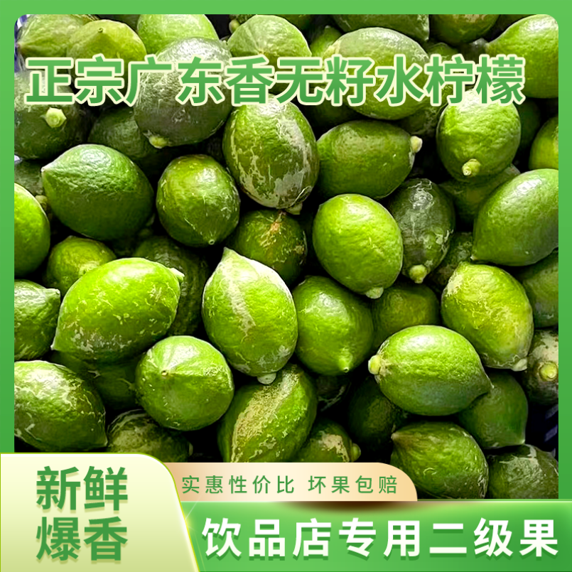 广东香水柠檬二级果无籽新鲜现发咖啡冷饮店奶茶店手打柠檬茶专用