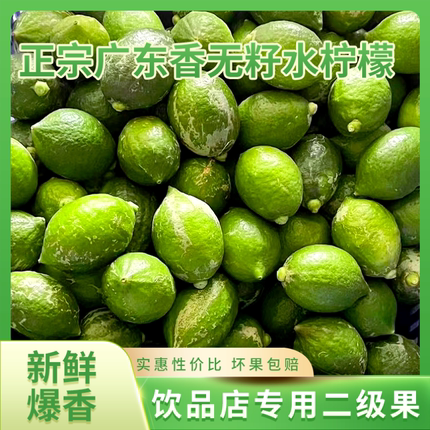 广东香水柠檬二级果无籽新鲜现发咖啡冷饮店奶茶店手打柠檬茶专用