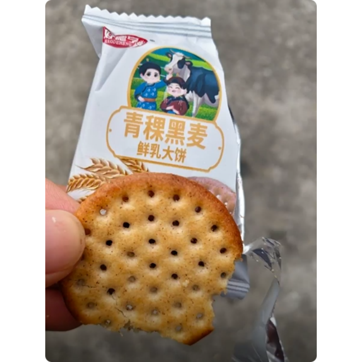 【好德享0蔗糖】青稞黑麦鲜乳大饼纯奶饼干粗粮健康代餐早餐零食