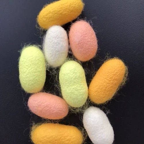 彩色蚕茧可抽丝做手工扇