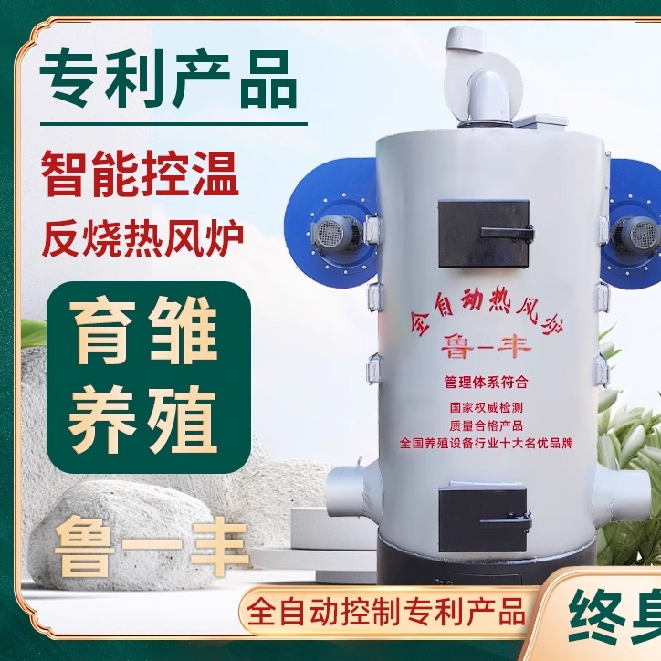 生物颗粒燃煤养殖热风炉取暖炉