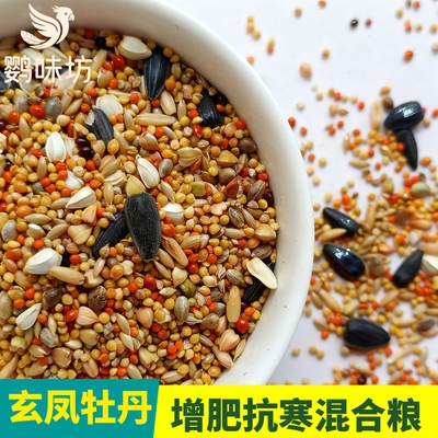 中小型玄凤鹦鹉牡丹混合粮专用带壳种子营养谷物自配增肥抗寒35油