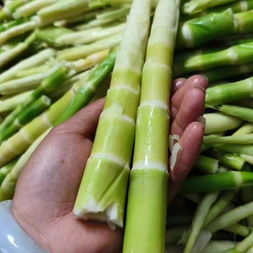 野生竹笋 湖南去壳小春笋子非雷笋现挖手剥水竹笋 高山笋甜笋肉