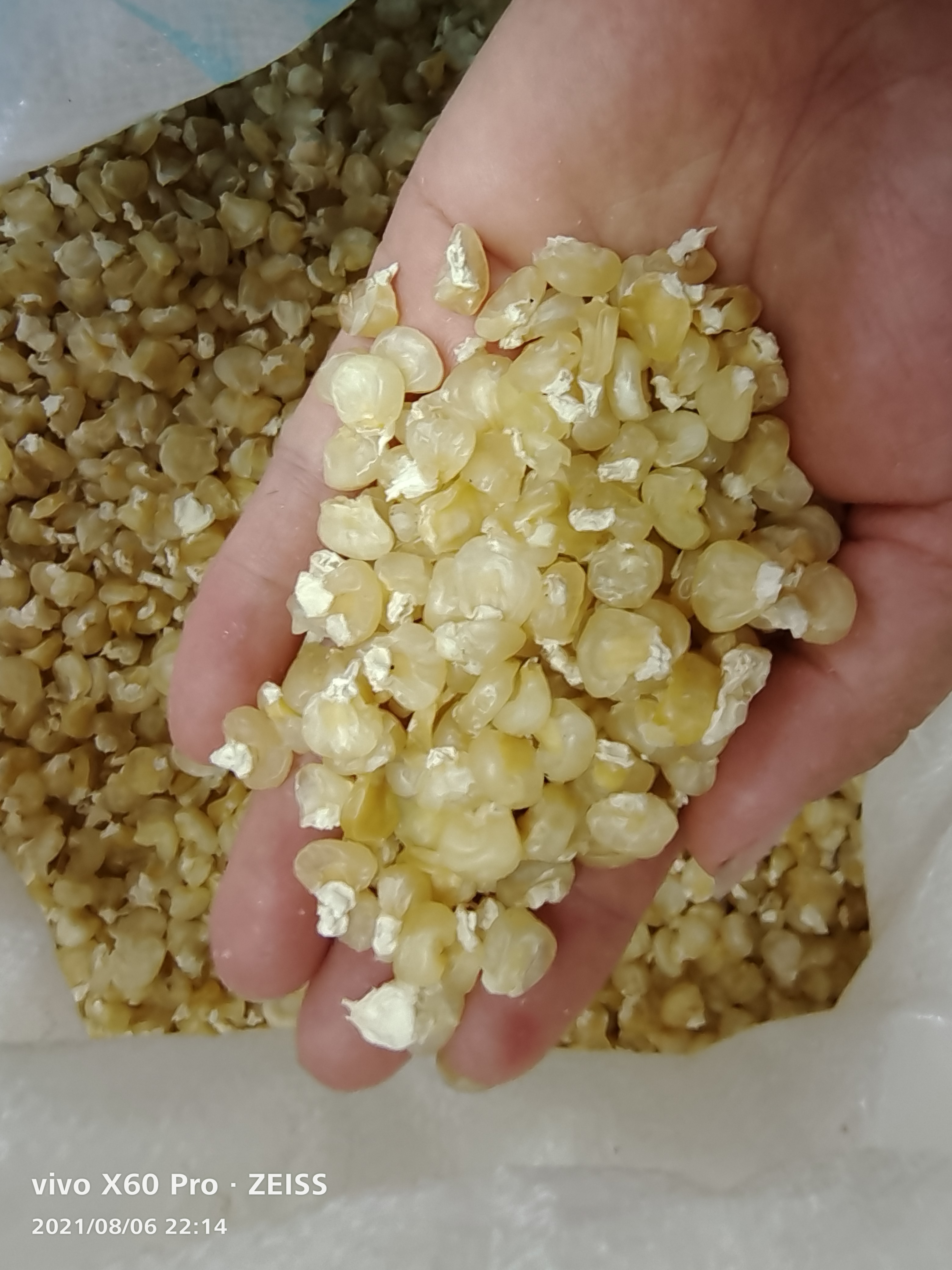 农家自晒邵阳干玉米熟嫩玉米