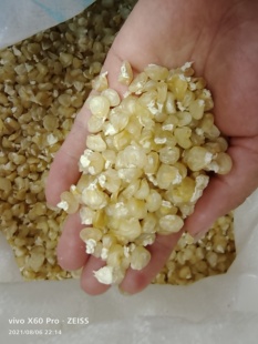 嫩玉米干 熟嫩玉米粒 玉米粒 干白嫩玉米 排骨炖玉米500G