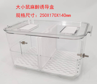 大鼠诱导箱 小鼠诱导盒 麻醉机配件 动物麻醉机配件 全透明