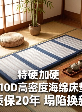 110D特硬冬夏凉席两用海绵折叠床垫榻榻米打地铺神器午休睡垫地垫