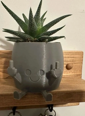 创意双手竖中指花盆摆件家居庭院设计艺术可爱装饰品摆件