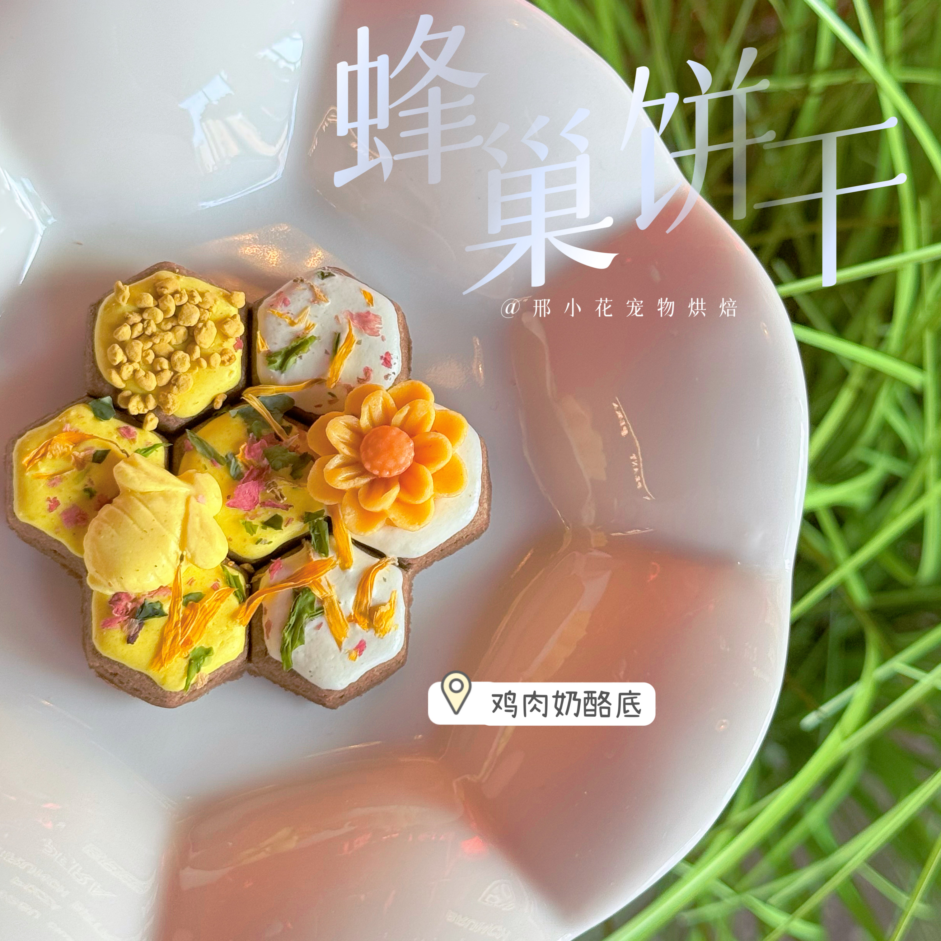 自制宠物零食蜂巢饼干丰容羊奶淋面卡通装饰配餐饼干泰迪比熊金毛