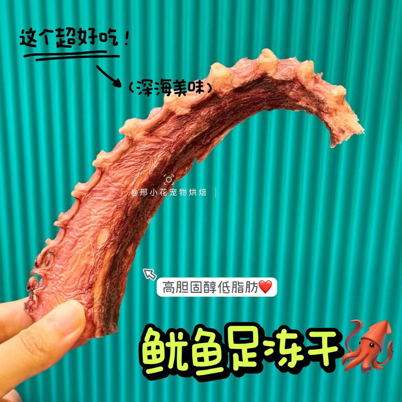 【热销】小花家自制宠物冻干大鱿鱼足高蛋白日常训练零食狗狗猫猫