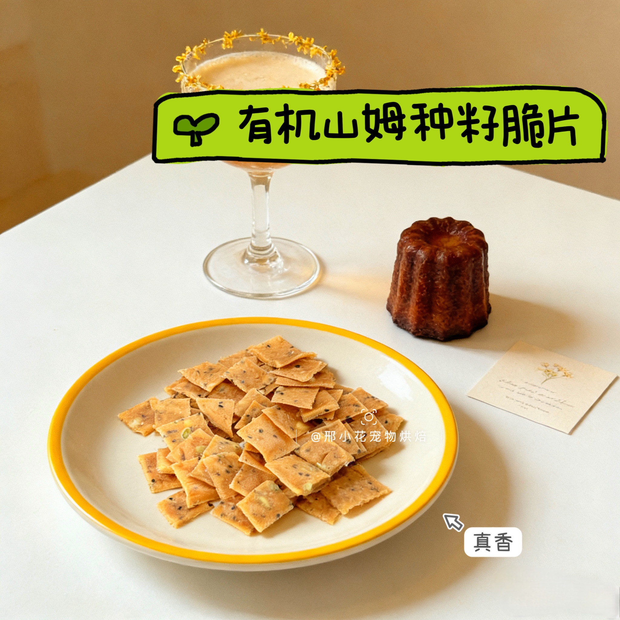 自制有机山姆种籽鸡肉脆片日常训练投喂狗狗零食薯片比熊泰迪法斗