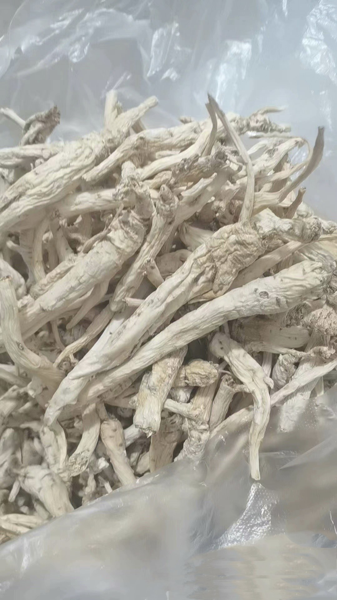 野生泡参,泡参中药材高海拔中草药材鸡腿参野生南沙参中药材煲汤