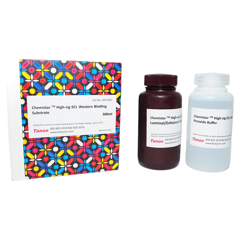 天能Westernblot超敏发光显影液