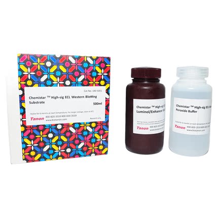 Western blot ECL化学发光液超敏100ml 发光显影液试剂盒天 能