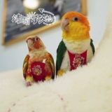 Восьмой генерационный тип логотипа птица использует мочу без влажной одежды, дерьма, брюк мочи, звезда летающей одежды Ба Киме Туан Шунфенг