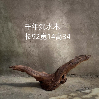 风化木老木头侘寂风枯木摆件沉水木空间装饰朽木造景水池边木头