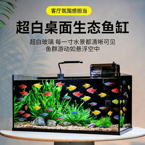 超白玻璃自循环过滤桌面生态鱼缸