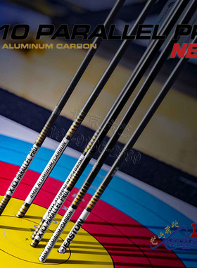 伊斯顿X10箭PP碳箭美国进口4MM碳铝箭反曲复合光弓千一专业比赛箭