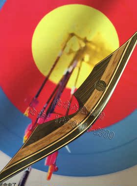 三益SAMICK SAGE一体弓赛奇传统美猎 秃弓 光弓 反曲弓箭射箭用品