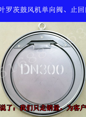 三叶罗茨鼓风机DCV型单向止回阀 管道逆止阀 蝶阀 DCV-100 200