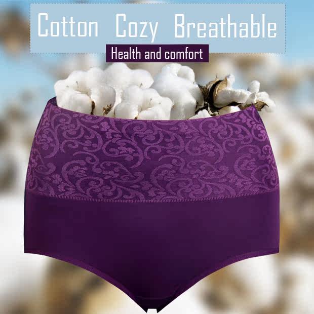 Slip Moyen-âge en coton - Ref 644429 Image 4