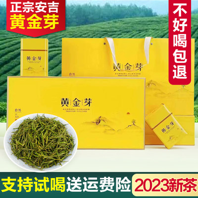 正宗黄金芽茶叶2023年新茶安吉春茶口粮白茶绿茶250g礼盒装黄金茶