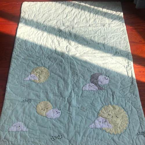 新品颜色很正纯棉手工夹棉花童被