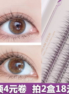 自己种植假睫毛鱼尾朵毛夹心朵毛超自然仿真卷翘分段嫁接睫毛新手