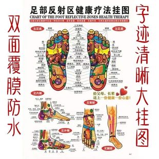 足底反射区挂图足底足疗按摩经络穴位图养生高清穴位图