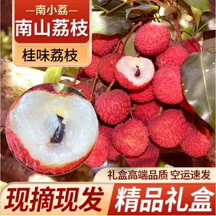 深圳南山荔枝桂味荔枝新鲜水果香甜老树包邮顺丰空运礼盒广东特产
