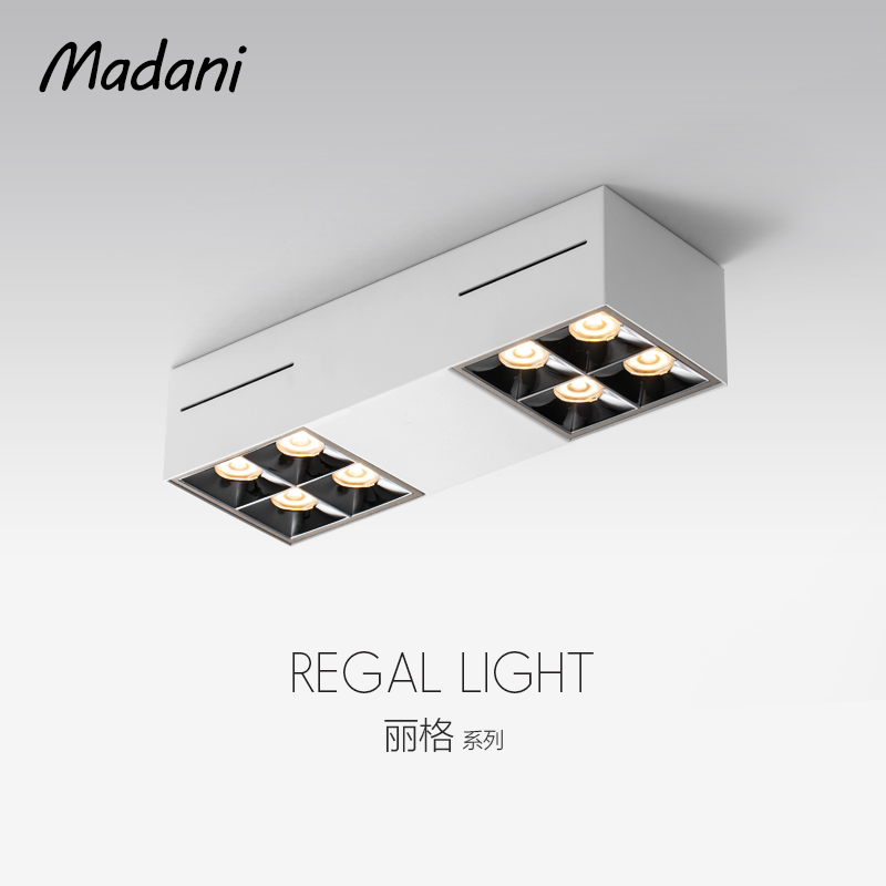 麦丹妮 明装射灯led客厅灯吸顶灯餐厅长方形双头射灯具