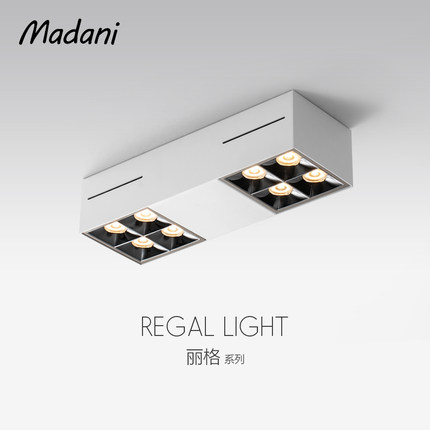 麦丹妮 明装射灯led客厅灯吸顶灯餐厅长方形双头射灯具