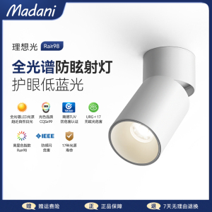麦丹妮 折叠明装射灯可调角度客厅免打孔吸顶防眩洗墙灯过道筒灯