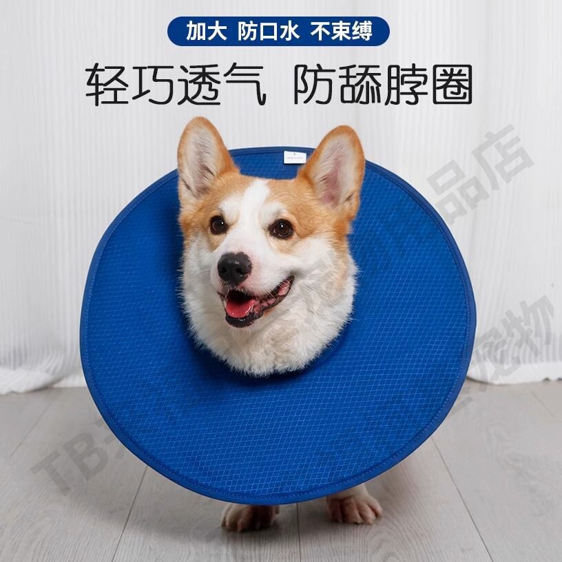 宠物伊丽莎白圈防舔防抓咬项圈