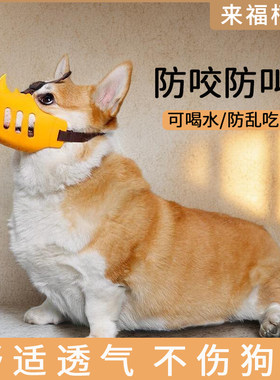 狗狗嘴套柯基柴犬嘴罩中小型犬止吠器防咬防叫神器可喝水宠物口罩