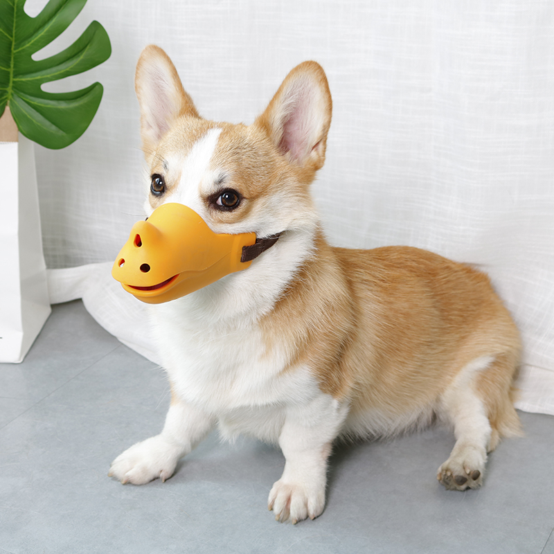 柯基小中型犬防咬叫用品狗狗嘴套