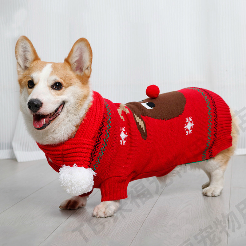 秋冬狗狗衣服柯基柴犬中小型犬宠物圣诞毛衣休闲棉衣加厚冬季保暖