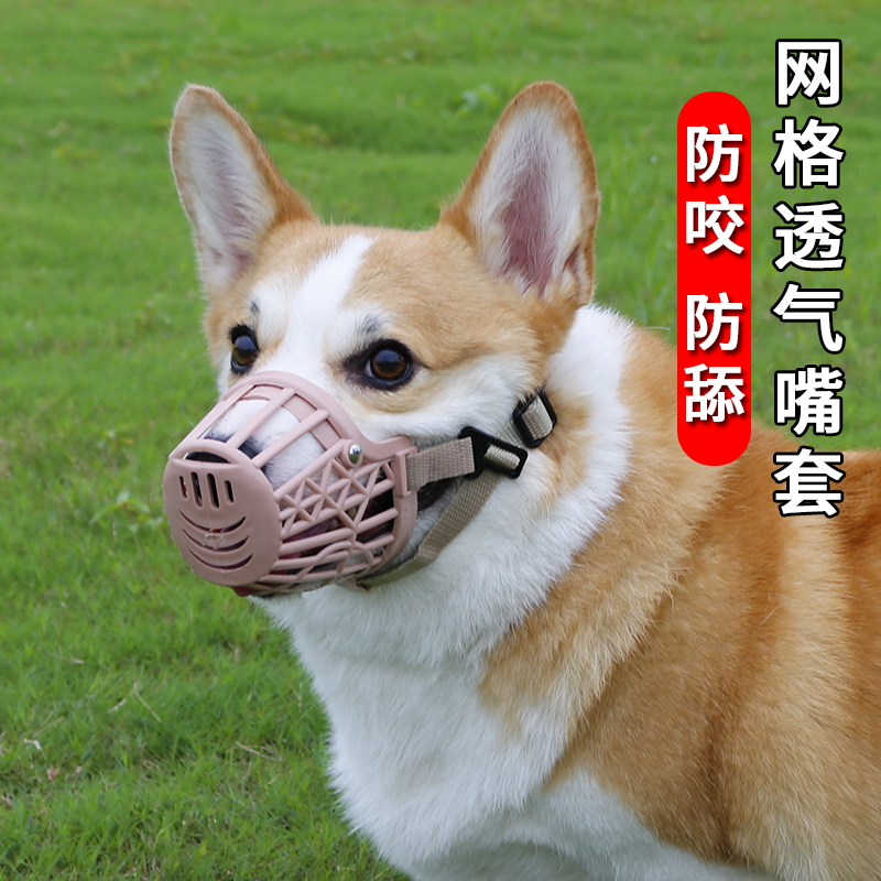狗狗嘴套柯基防咬叫乱吃嘴罩中小型犬防舔乱叫神器止吠器宠物用品