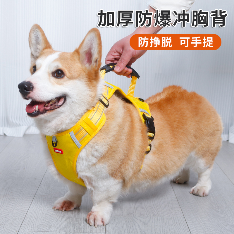 狗狗牵引绳可调节背心式宠物胸背带柴犬柯基中小型犬防爆冲遛狗绳